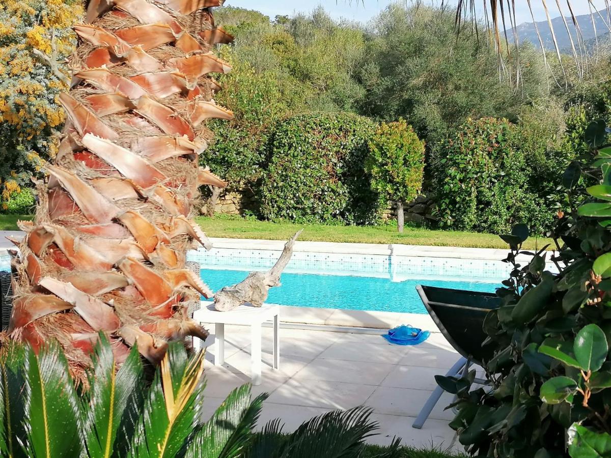 Studio 5Min Plage Agosta Albitreccia Exterior photo